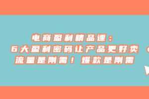 （6954期）电商 盈利精品课：6大盈利 密码让产品更好卖，流量是刚需！爆款是刚需