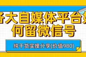 (6642期)各大自媒体平台如何留微信号,详细实操教学