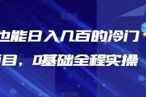 (6630期)新手也能日入几百的冷门DIY项目,0基础全程实操【揭秘】