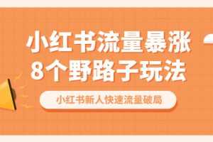 (6476期)小红书流量-暴涨8个野路子玩法:小红书新人快速流量破局(8节课)
