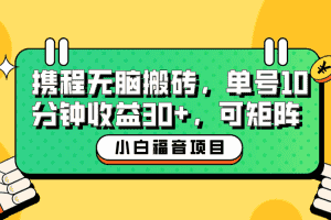 （6450期）小白新手福音：携程无脑搬砖项目，单号操作10分钟收益30+，可矩阵可放大