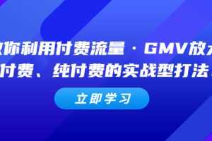 （5106期）教你利用付费流量·GMV放大，微付费、纯付费的实战型打法！