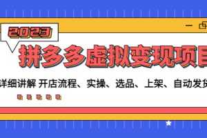 （4824期）拼多多虚拟变现项目：讲解开店流程-实操-选品-上架-自动发货等(无中创水印)