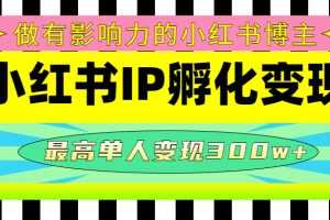 （4612期）某收费培训-小红书IP孵化变现：做有影响力的小红书博主，最高单人变现300w+