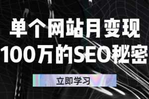 （2332期）单个网站月变现100万的SEO秘密：如何百分百做出赚钱站点