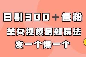 （7273期）日引300＋色粉，美女视频最新玩法，发一个爆一个