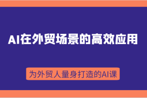 AI在外贸场景的高效应用，从入门到进阶，从B端应用到C端应用，为外贸人量身打造的AI课