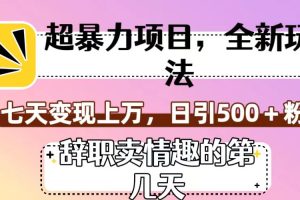 超暴利项目，全新玩法（辞职卖情趣的第几天），七天变现上万，日引500+粉