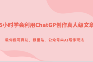 5小时学会利用ChatGP创作真人级文章，教你做写真站，权重站，公众号类AI写作玩法