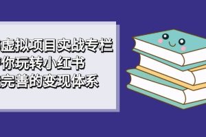 小红书虚拟项目实战专栏，带你玩转小红书，打造完善的变现体系