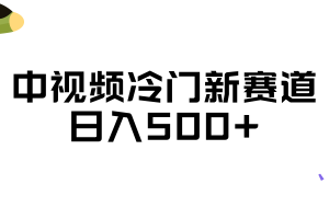 中视频冷门新赛道，日入500+，做的人少 三天之内必起号