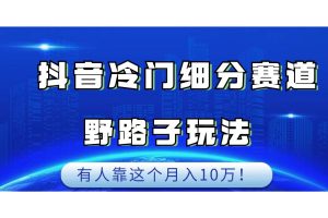 抖音冷门细分赛道野路子玩法，有人靠这个月入10万