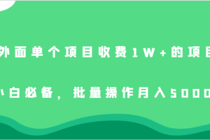 外面单个项目收费1W+的项目，小白必备，批量操作月入5000+