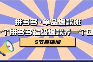 拼多多·单品爆款班，一个拼多多超级爆款养一个团队（5节直播课）