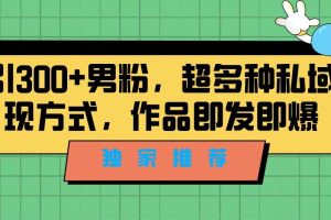 独家推荐！日引300+精准男性粉丝，分类风格视频新玩法2.0！变现超级快