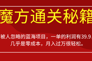 被人忽略的蓝海项目，魔方通关秘籍，一单的利润有39.9，几乎是零成本，月入过万很…