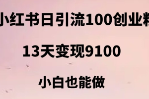 小红书日引流100+创业粉，13天变现9100，创业首选引流平台