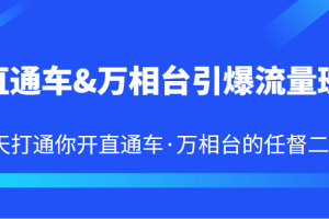 直通车&万相台引爆流量班 6天打通你开直通车·万相台的任督二脉