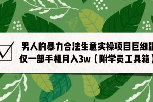 男人的暴力合法生意实操项目巨细版：仅一部手机月入3w（附赠学员工具箱）