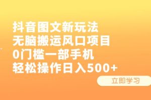 抖音图文新玩法，无脑搬运风口项目，0门槛一部手机轻松操作日入500+