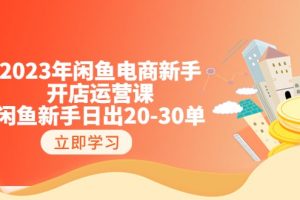 2023年闲鱼电商新手开店运营课：闲鱼新手日出20-30单（18节-实战干货）