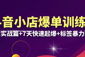 抖音小店爆单训练营VIP线下课：6大实战篇+7天快速起爆+标签暴力玩法(32节)