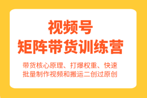 视频号矩阵带货训练营，带货核心原理、打爆权重、快速批量制作视频和搬运二创过原创