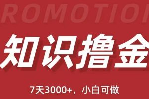 抖音知识撸金项目简单粗暴日入1000+，小白可做（教程+资料）