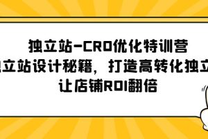 独立站-CRO优化特训营，独立站设计秘籍，打造高转化独立站，让店铺ROI翻倍