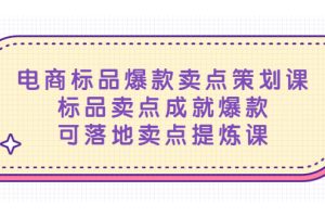 电商标品爆款卖点策划课，标品卖点成就爆款，可落地卖点提炼课