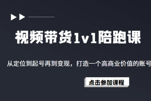 视频带货1v1陪跑课，从定位到起号再到变现，打造一个高商业价值的账号