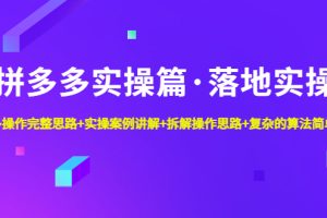 拼多多实操篇·落地实操 完整思路+实操案例+拆解操作思路+复杂的算法简单化