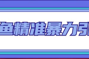 闲鱼精准暴力引流全系列课程，每天被动精准引流200+客源技术（8节视频课）