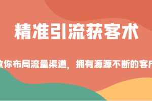 精准引流获客术，教你布局流量渠道，拥有源源不断的客户！