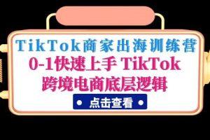 TikTok商家出海训练营：0-1快速上手 TikTok跨境电商底层逻辑