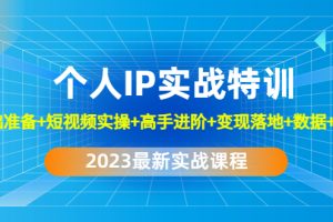 2023个人IP实战特训：基础准备+短视频实操+高手进阶+变现落地+数据+电商