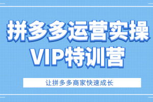 拼多多运营实操VIP特训营，让拼多多商家快速成长（价值3180元）