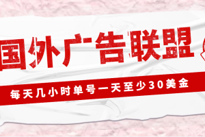 外面收费1980最新国外LEAD广告联盟搬砖项目，单号一天至少30美金(详细教程)