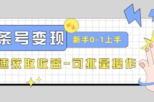 2023头条号实操变现课：新手0-1轻松上手，快速获取收益-可批量操作