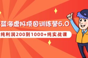 《淘宝蓝海虚拟项目陪跑训练营6.0》每天纯利润200到1000+纯实战课