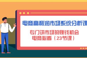 电商高利润市场系统分析课：专门讲市场的赚钱机会，电商必看（23节课）