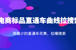 电商标品直通车曲线拉搜索，用最少的直通车花费，拉爆搜索