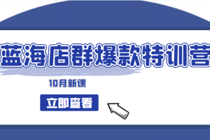 蓝海店群爆款特训营(10月新课) 低成本起店、小爆款打造、群爆款维护 精细化选品