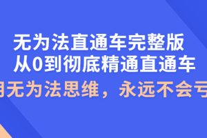 无为法直通车完整版：从0到彻底精通直通车，用无为法思维，永远不会亏损