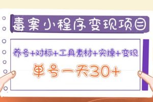 小程序变现项目：养号+对标+工具素材+实操+变现，单号一天30+