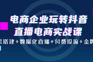 电商企业玩转抖音直播电商实战课：账号搭建+数据化直播+付费投流+金牌主播