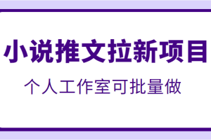 外面收费6880的小说推文拉新项目，个人工作室可批量操作