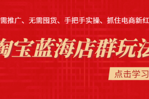 淘宝蓝海店群玩法，无需推广、无需囤货、手把手实操、抓住电商新红利（价值3998元）