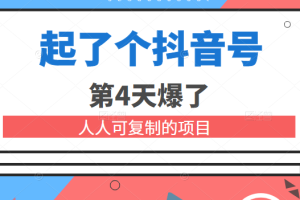 某公众号付费文章：起了个抖音号 第4天爆了 人人可复制的项目