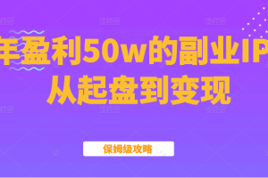 某公众号付费文章：年盈利50w的副业IP从起盘到变现的保姆级攻略（黑）